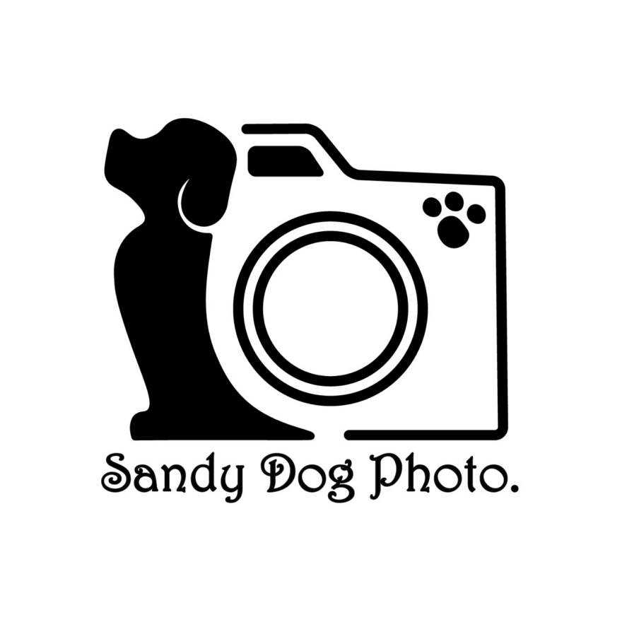 Max Vasselli - Sandy Dog Photo